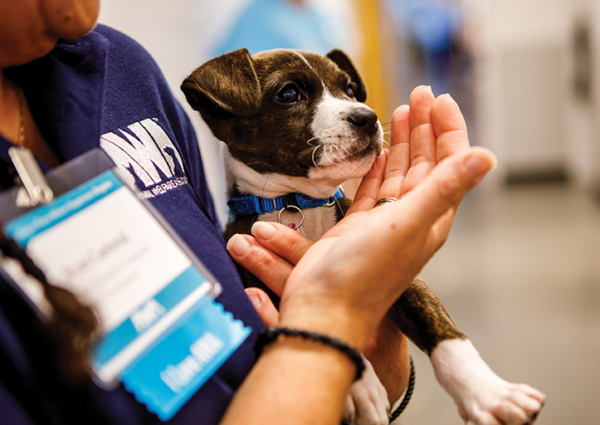 Second Chance at Love — Supporting Homeless Pets through AWA